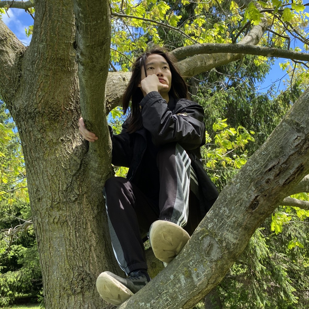Me on the tree